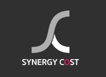 SYNERGY COST