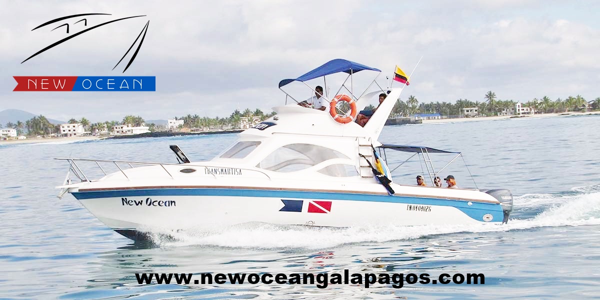 Los Mejores Ferrys en Galápagos: Viaja Cómodo y Seguro entre las Islas