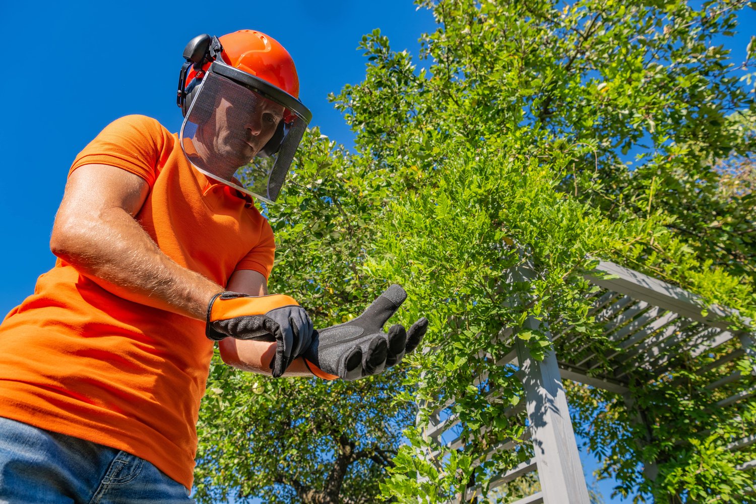 Tomas Jardinero Reus | Cesped Artificial | Mantenimiento y dise�o de Jardines