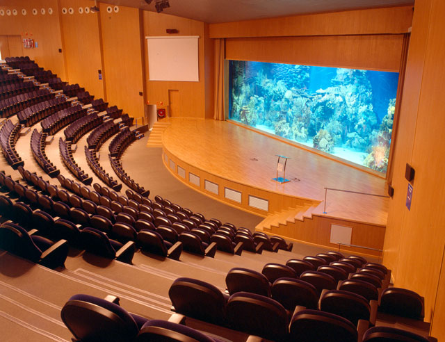 AUDITORIO