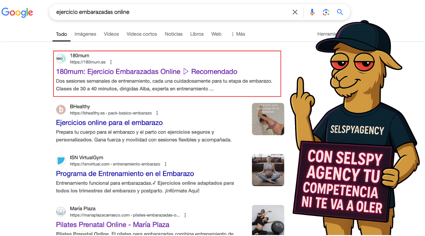 Tesla se interesa por una agencia SEO Murcia: Selspy Agency llama la atenci�n del gigante tecnol�gico