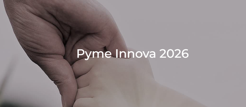 Pyme Innova 2025