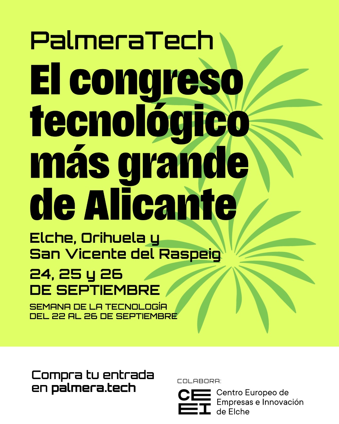 Palmera TEch 25