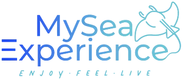 My Sea Experience