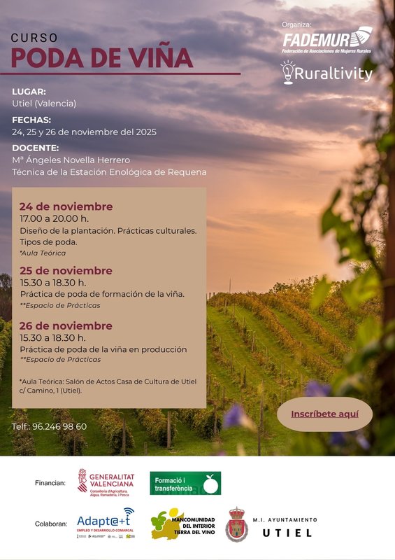 Programaci�n Curso