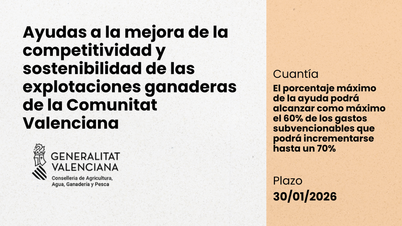 Ampliar imagen
