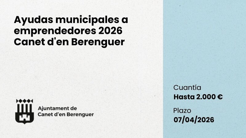 Ampliar imagen