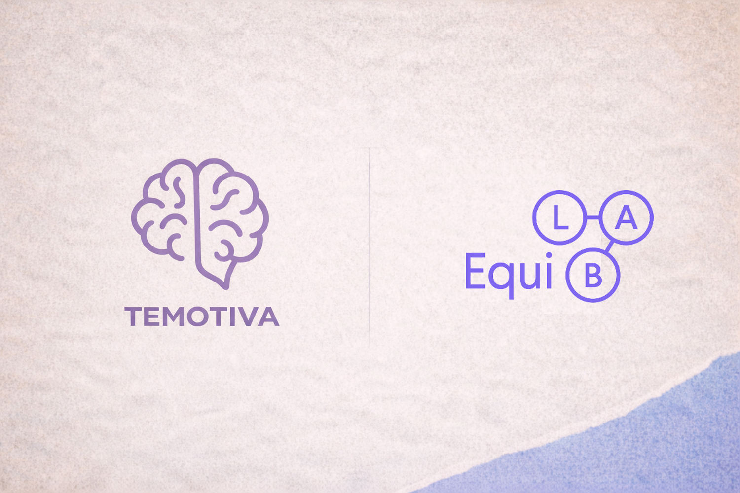 Temotiva seleccionada para el Laboratorio Ciudadano Equilab de la Generalitat Valenciana