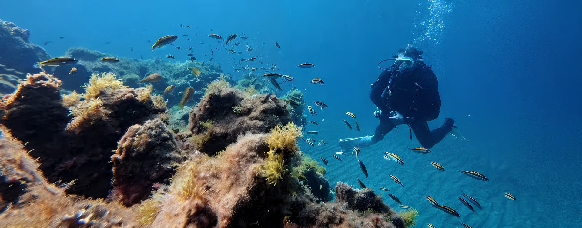 Sea Wolf Scuba