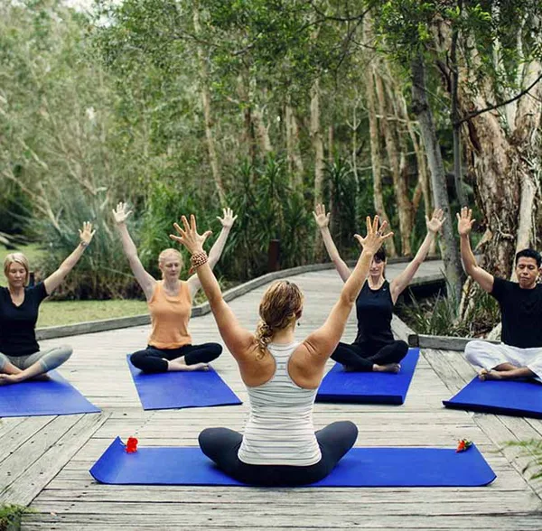 Formación en yoga holístico