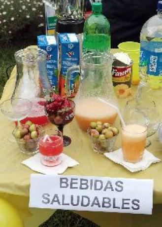 bebidas saludables
