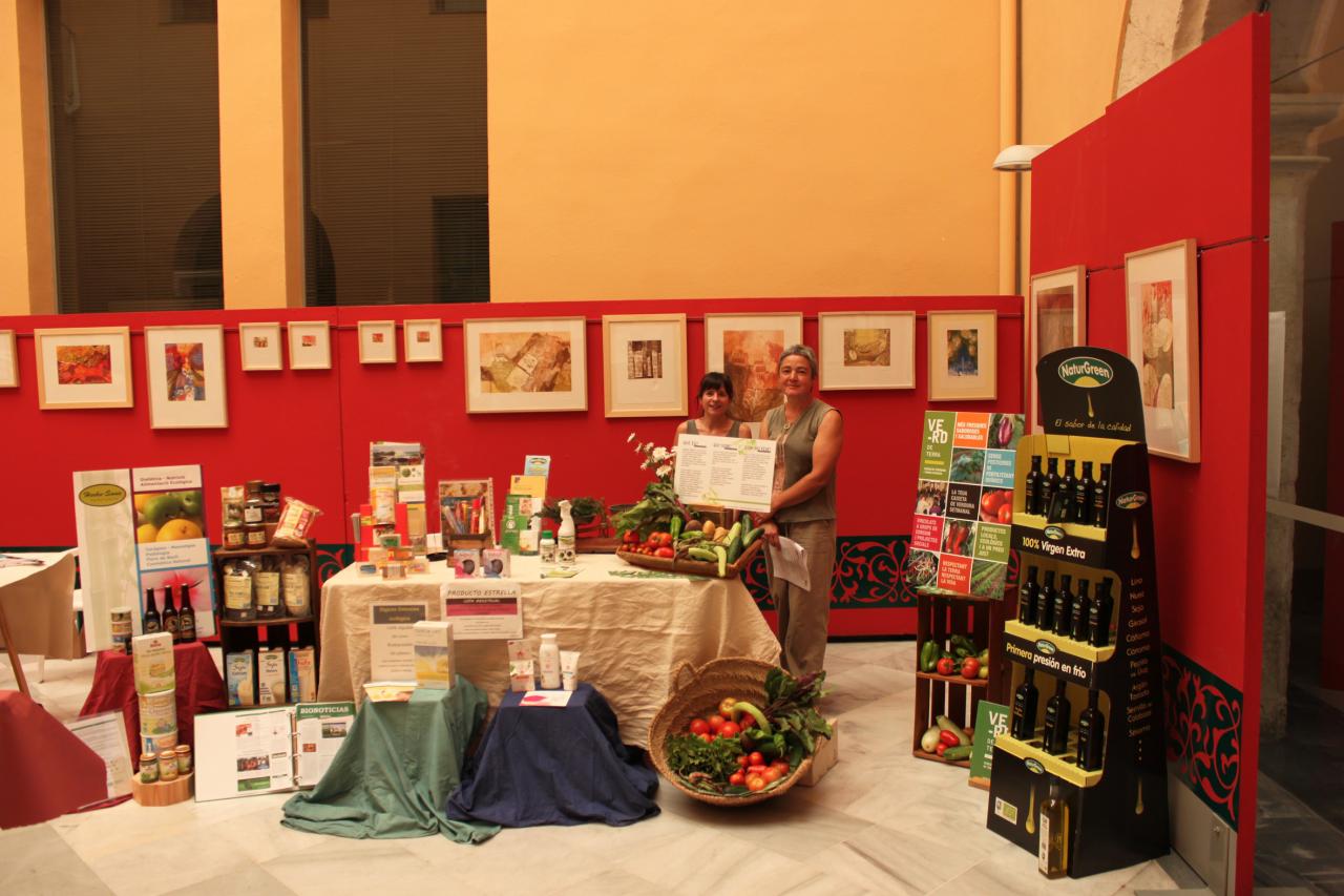 stand enredate xativa