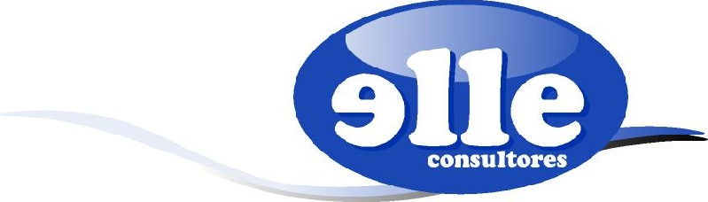 ELLE CONSULTORES