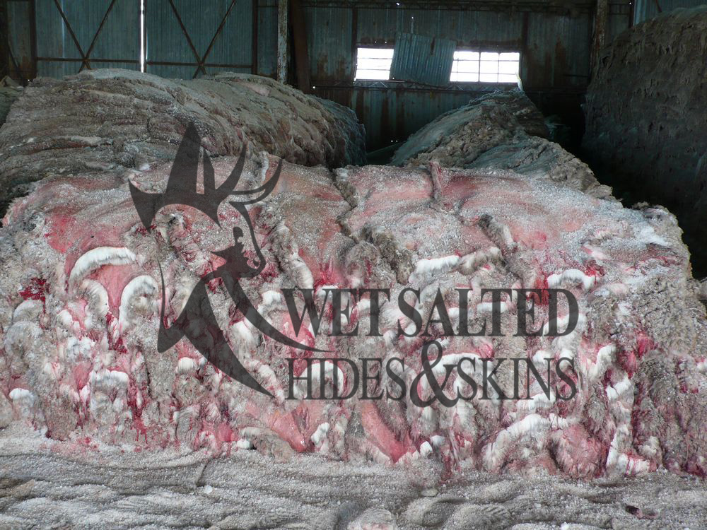 Wet Salted Hides & Skins SL