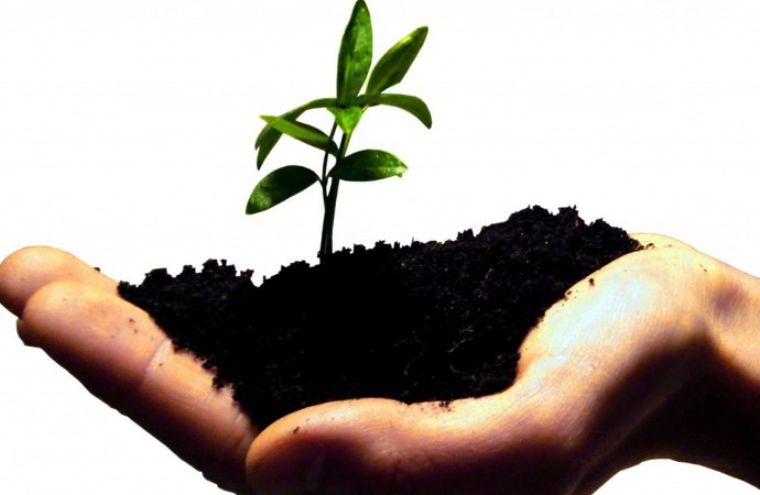 Startup Image