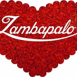 Zambapalo -Dinamización de eventos a través de las emociones visuales.