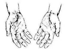 Centro de fisioterapia OSTEOFIS