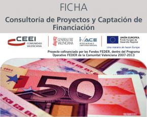 Consultora de Proyectos y Captacin de Financiacin