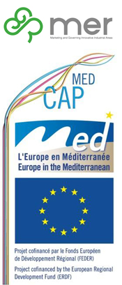 Logo MER+MED