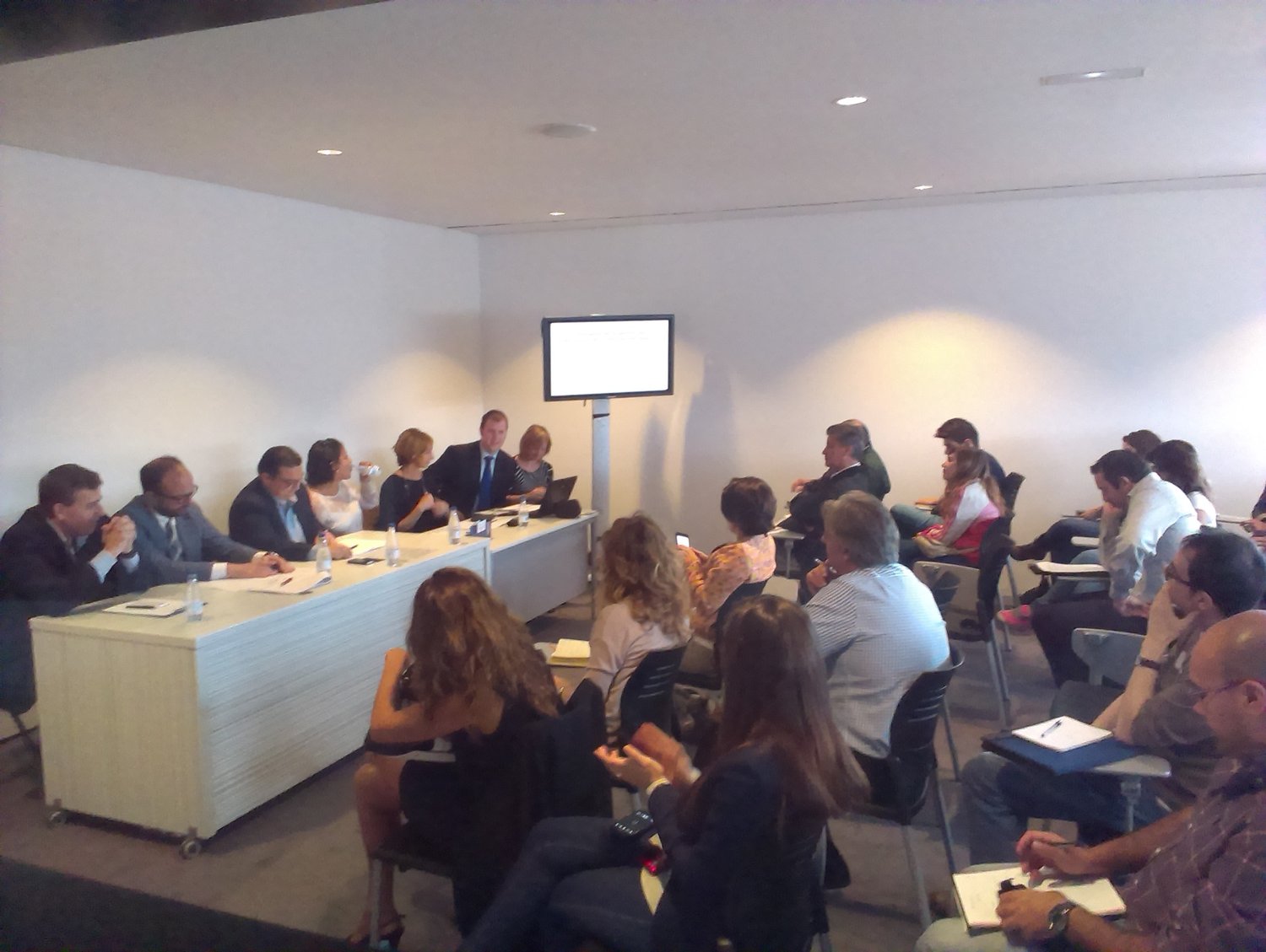 DPE Alicante 2013 organización