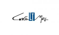 CONSULTORES MULTIDISCIPLINARES EMPRESARIALES
