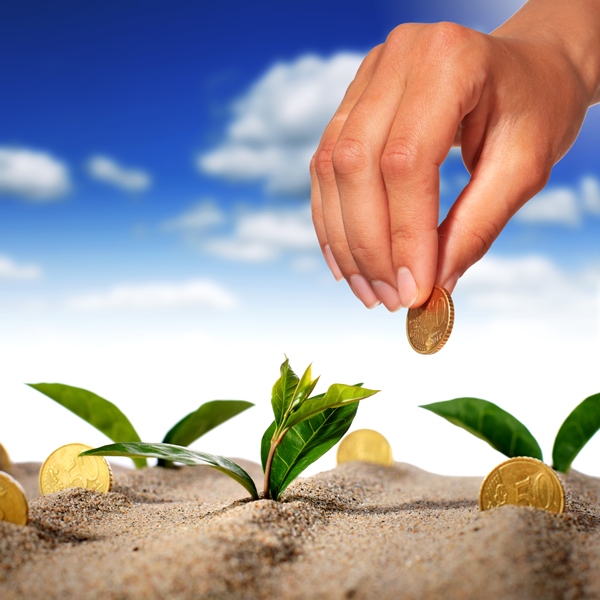 Empresas �Low cost� 