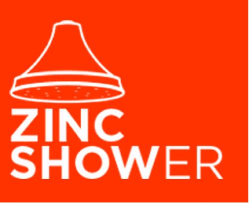 ZINC SHOWER 2016