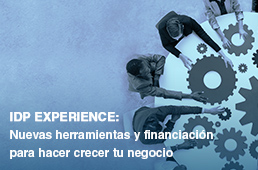 IDP EXPERIENCE