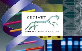 CEDIVET, Premio de Caixa Popular a la Gesti�n Inno