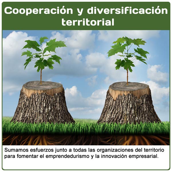 Cooperacin y diversificacin territorial