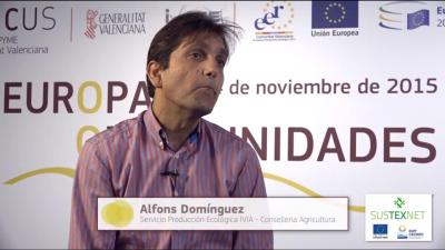 Entrevista Alfons Domnguez FIPCV15