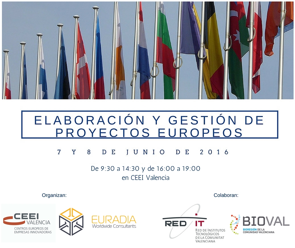 Imagen Curso Elaboraci�n y Gesti�n Proyectos Europeos[;;;][;;;]