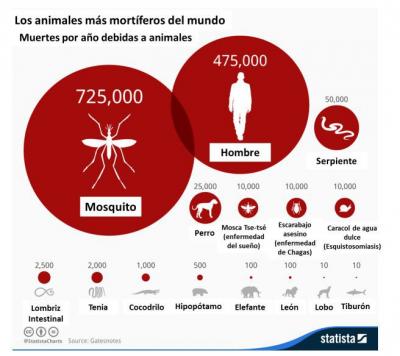 Nanotecnologa como solucin contra los moquitos