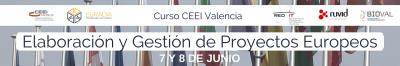 Banner Curso Elaboraci�n y Gesti�n de Proyectos Europeos