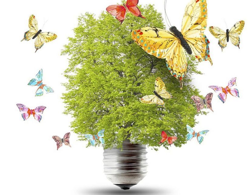 Emprendimiento social, creando realidad
