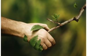 ¿CÓMO EMPRENDER EN LA NUEVA ECONOMÍA?