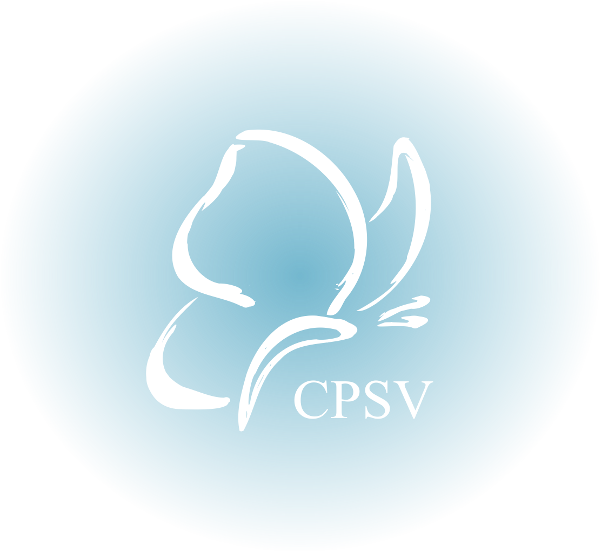 Centro de Psicolog�a Sanitaria Valencia