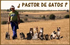 Fidelitzar el talent