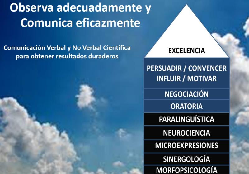 Ampliar imagen