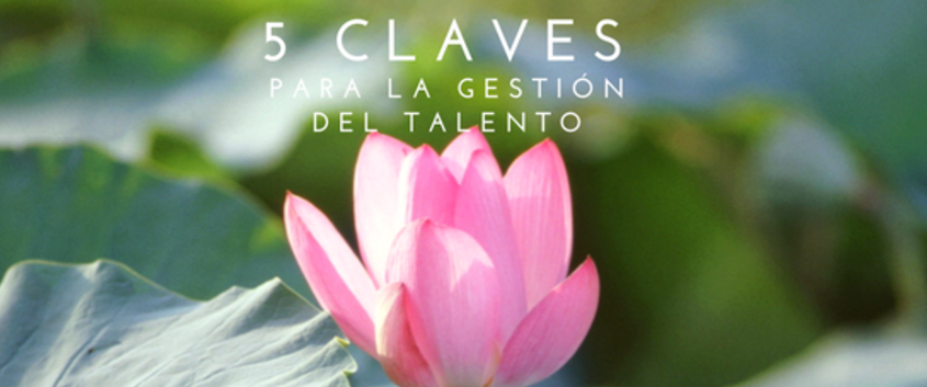 5 ideas err�neas sobre la gesti�n del Talento