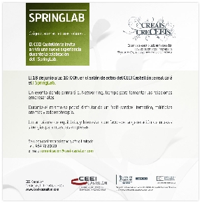 SpringLab I