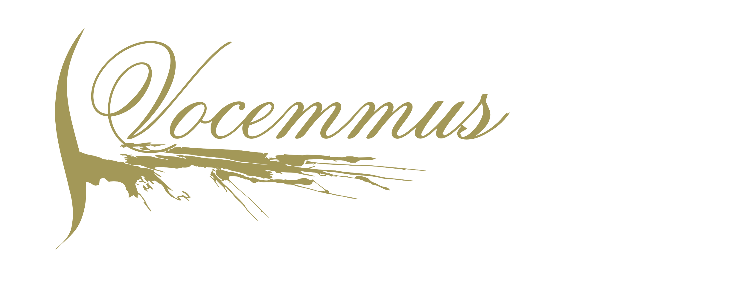 Vocemmus SL