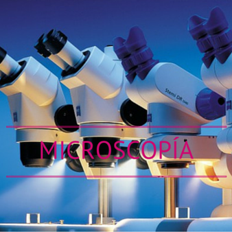 Microscopía