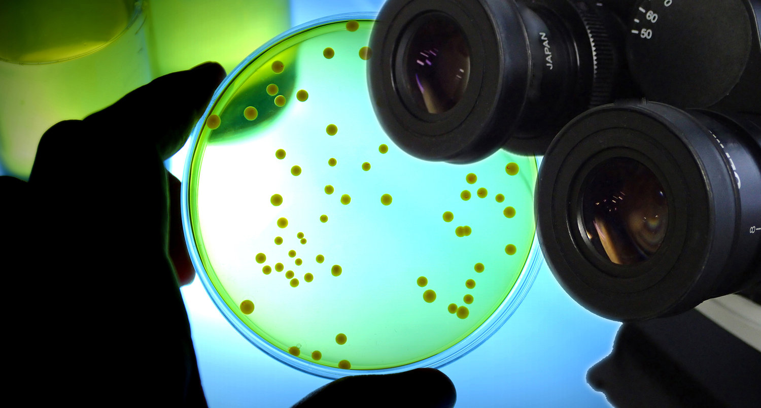 MICROBIOMA 1