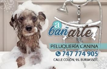 A ba�Arte peluquer�a canina