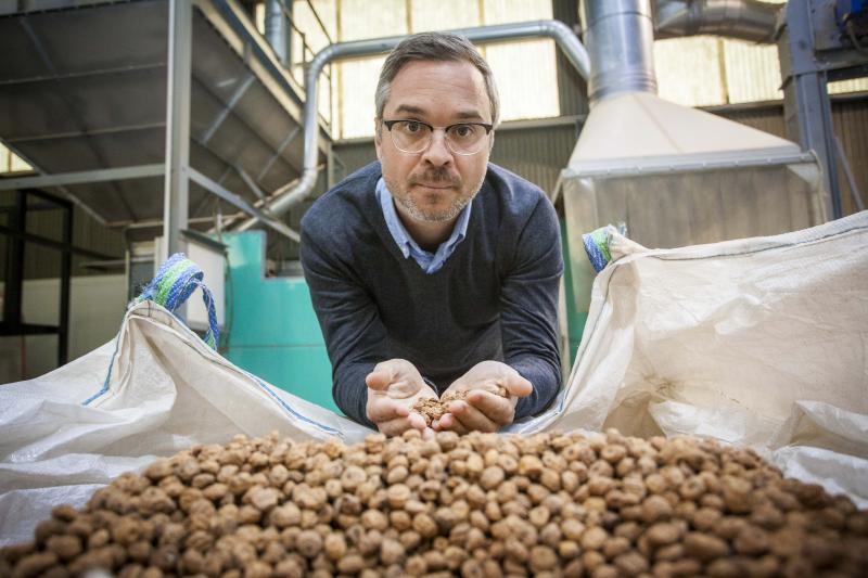 Aceite para cosm�ticos o base para chocolate, nuevos usos de la chufa
