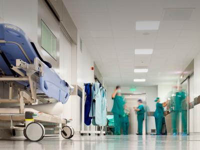 Control de plagas en hospitales. Cmo se hace