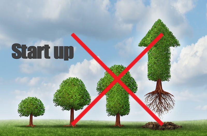 Startup que no crece
