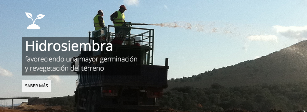 Natura Constructiva