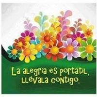 EL BALC� MEDICINAL DE SALUT, S.L.